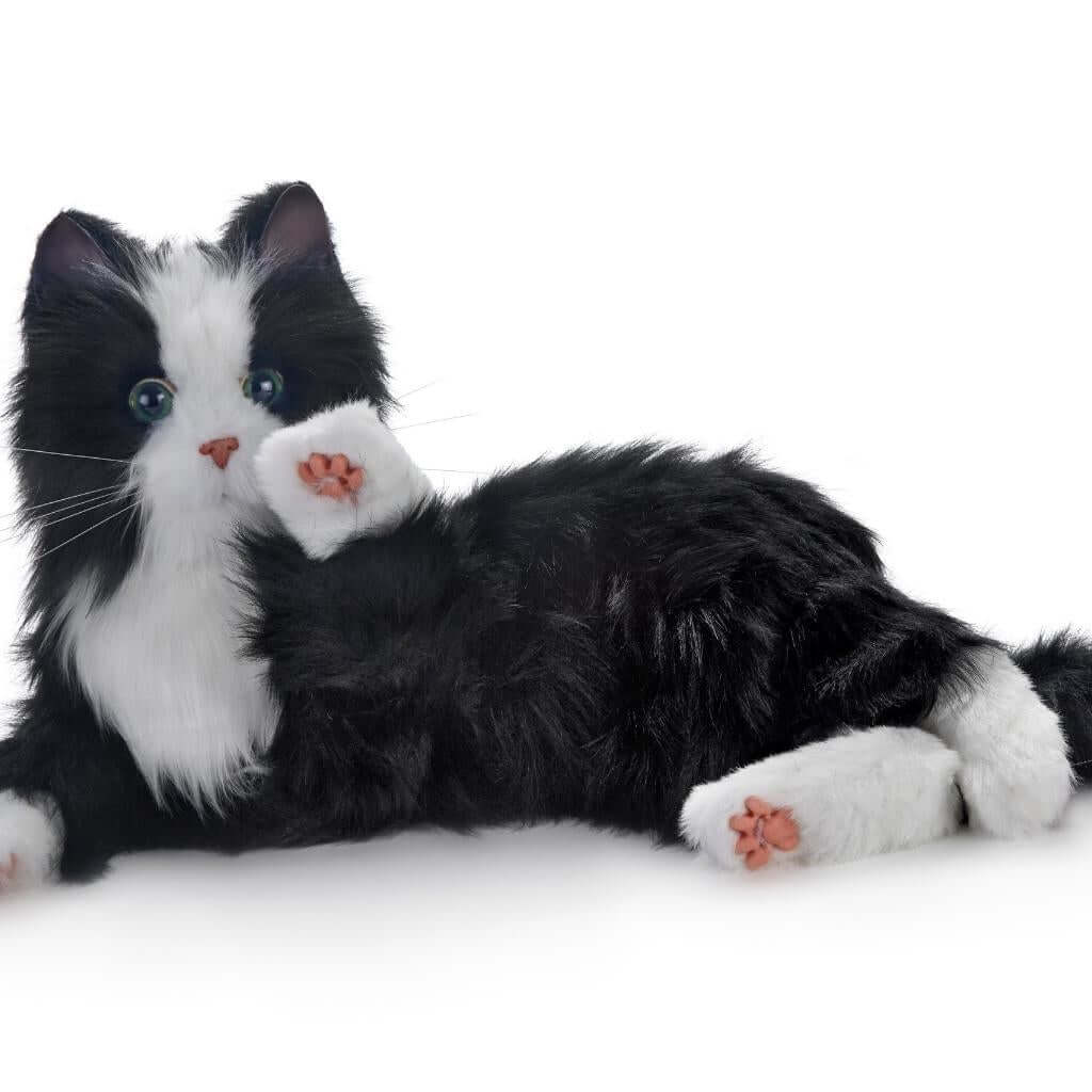 Companion Toy Cat