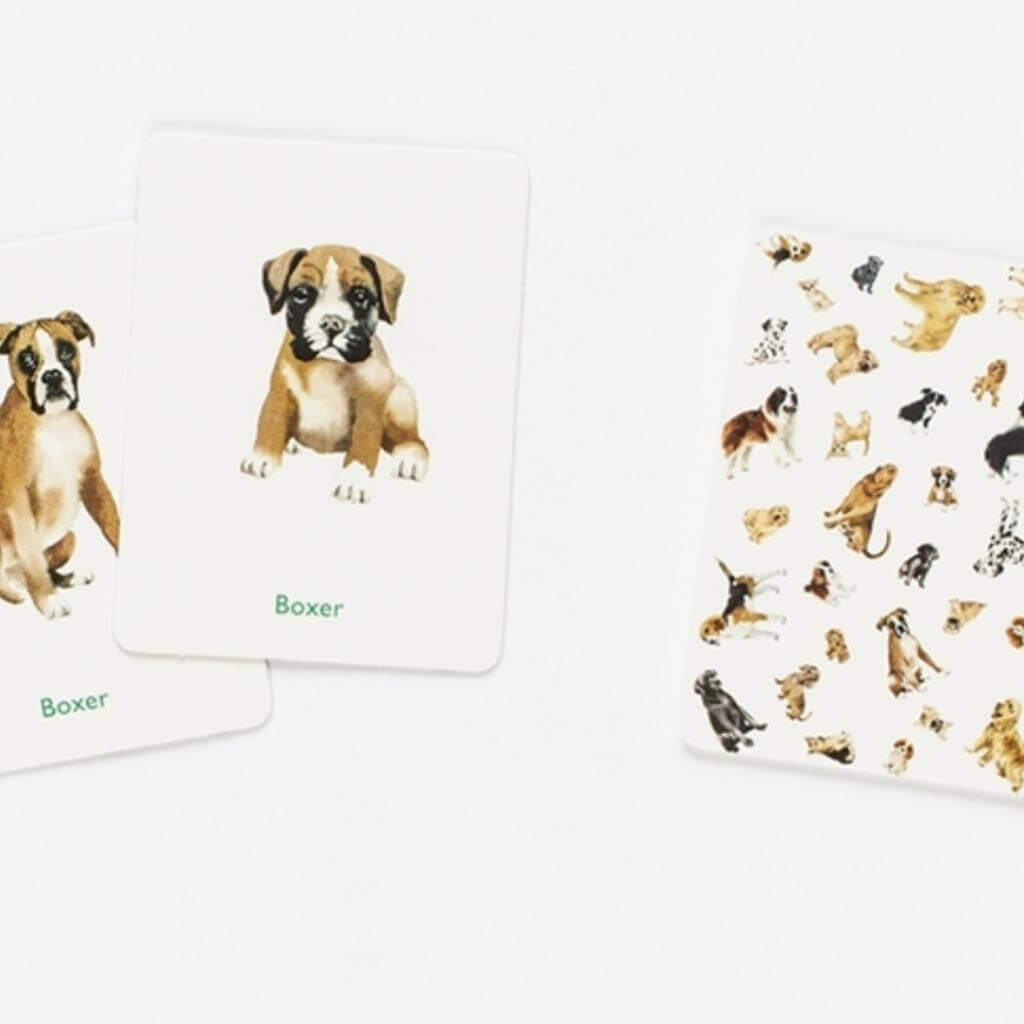 Dog and Puppies
