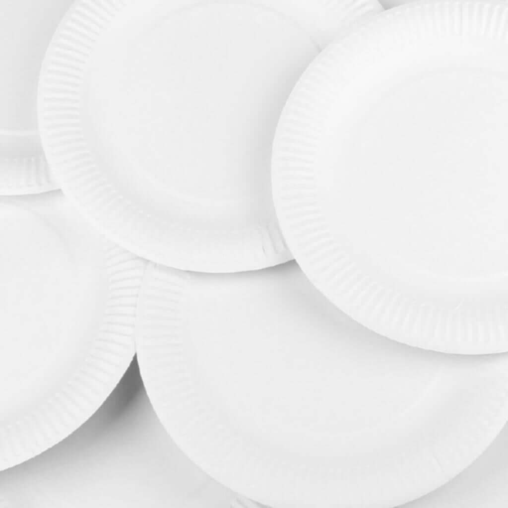 Paper Plates Pack of 100