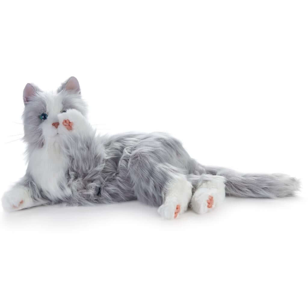 Silver companion pet cat
