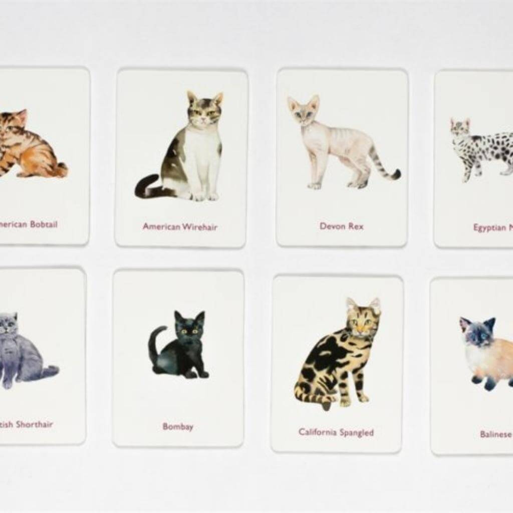 Cats And Kittens Memory Game